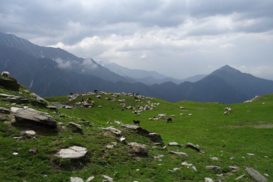 Conquering Heights: Embark On The Ultimate Adventure With The Jalsu Pass Trek