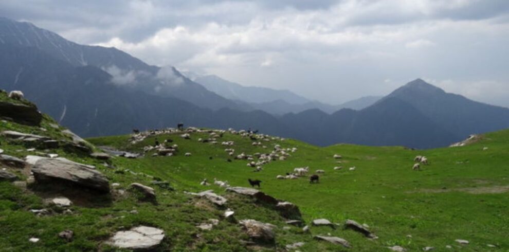 Conquering Heights: Embark On The Ultimate Adventure With The Jalsu Pass Trek