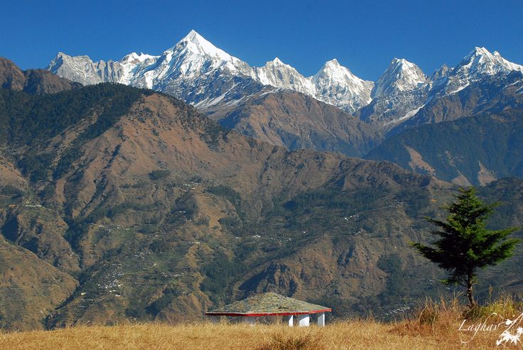 Peaceful landscape of Munsiyari in Kumaon Himalayas