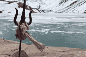 Kedartal Lake trek in Gangotri Himalayas