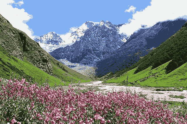 Valley of Flowers National Park in Uttarakhand with colorful blooming flowers and Himalayan mountains