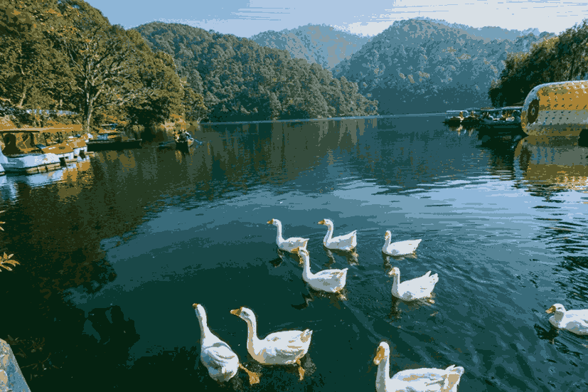 Naukuchiatal Lake surrounded by lush green hills and forests in the Kumaon region of Uttarakhand.